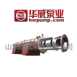 华威 熔盐泵 轴流泵ryb4000-5