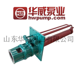 华威泵业厂家直销光热项目专用 熔盐泵GY30-250