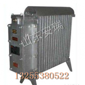 RB-2000/127矿用隔爆兼增安型电热取暖器