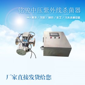 供应上海不锈钢污水处理装备中压紫外线消毒器
