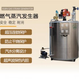 广东天然气蒸汽发生器设备供应