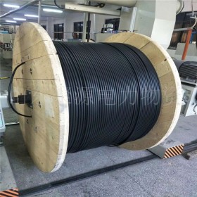 自承式光缆ADSS光缆24芯48芯国标光缆