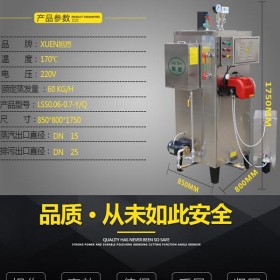 广东电加热全自动节能蒸汽发生器