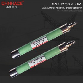 XRNP1-10/12KV高压限流熔断器PT前带螺纹