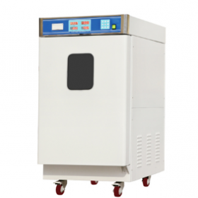环氧乙烷灭菌器SQ-H120-图片参数-河南三强医疗器械