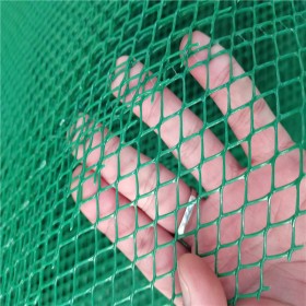 供应土工网HDPE塑料平面网土工网厂家