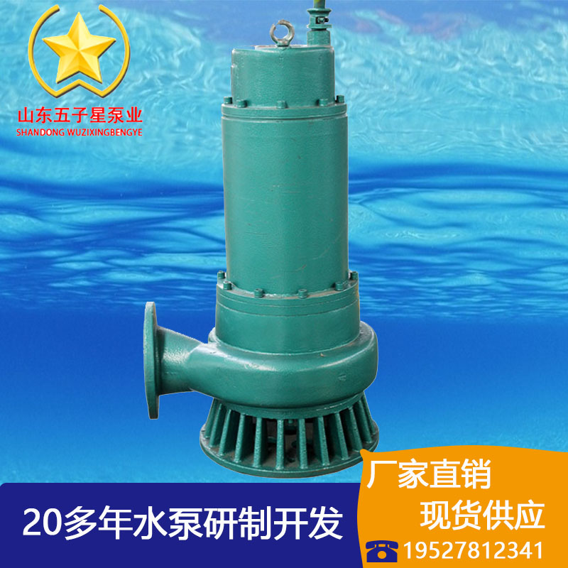 BQS320-140/2-220/N矿用隔膜型排沙潜水电泵
