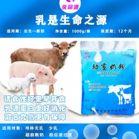 母猪缺奶仔猪没奶喝使用乳命源奶粉提供免疫力