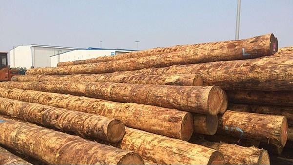 木材进口代理公司_木材代理进口_木材进口代理清关公司