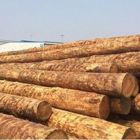 木材进口代理公司_木材代理进口_木材进口代理清关公司