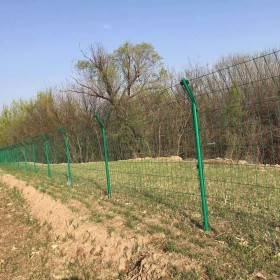 厂家直售无边框护栏 款式简单 双边丝护栏网 浸塑安全隔离栅