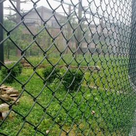 生产防攀爬护栏网 绿色浸塑勾花网隔离栅 体育场安全围网