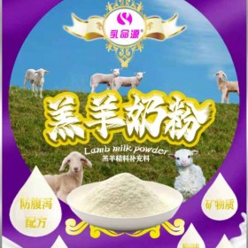 使用乳命源羔羊奶粉保证羔羊的健康生长