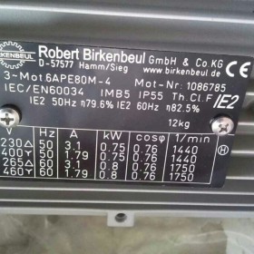 德国Robert Birkenbeul电机