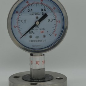   YPF-100B膜片压力表 价格美丽