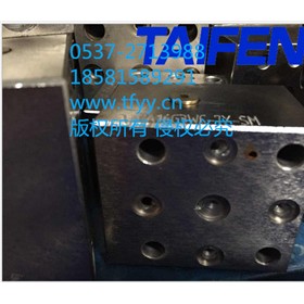 泰丰厂家直销插装阀盖板TLFA032DBT-7X