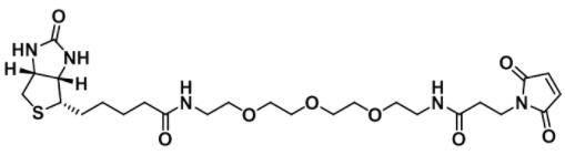 Biotin-PEG3-Mal，1431618-70-0