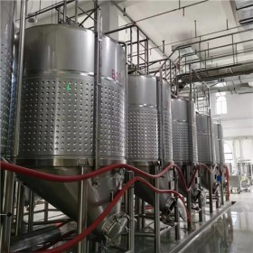 年产300吨苹果酒用果酒厂设备家酿实验设备行业前五强设备