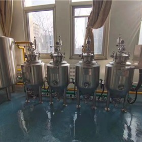 300升科研院校高校研发啤酒实验设备精酿设备行业十强单位