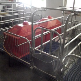 母猪双体产床产保一体分娩床母猪铸铁漏粪板复合漏粪板厂家直供