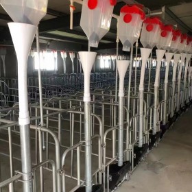 育肥母猪料线自动上料系统畜牧养殖设备
