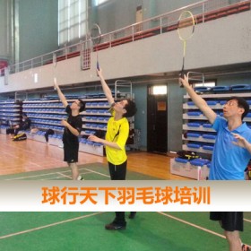 北京球行天下成人羽毛球规范动作指导