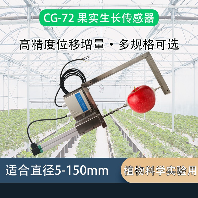 CG-72 果实/茎干生长传感器