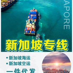 充电宝深圳出口新加坡海运双清物流专线