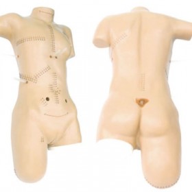 益联医学外科缝合包扎展示 模型绷带包扎模拟人