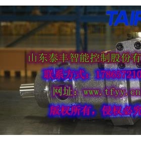 泰丰负载敏感泵TFB1V80Y商丘市恒功率右旋平键轴