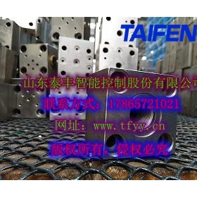 厂家直销泰丰TLFA025DBU-7X压力盖板