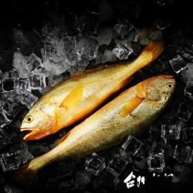 青岛港水产品进口代理公司为您解答进口大黄鱼清关所需单据