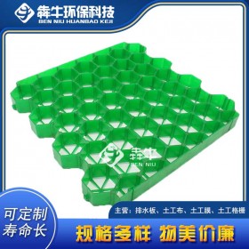 信阳HDPE塑料植草格售后保障