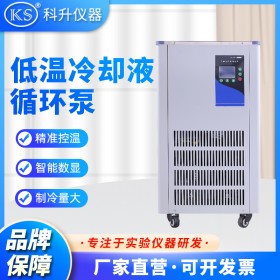 低温冷却液循环泵DLSB-5L/-10℃