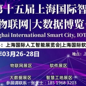 2024年（上海） 信息技术及互联网信息技术  展览会