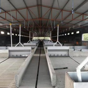自动化养殖场设备猪场料线