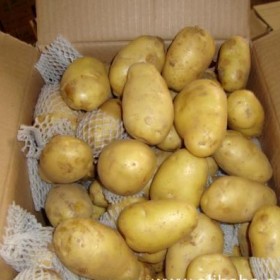 青岛港土豆出口商检清关流程我带您了解一下