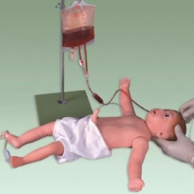 益联医学高级婴儿全身静脉穿刺模型