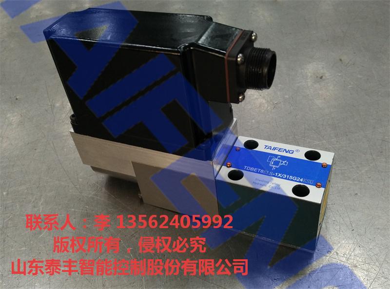 泰丰厂家直销TDBETELS-1X比例阀