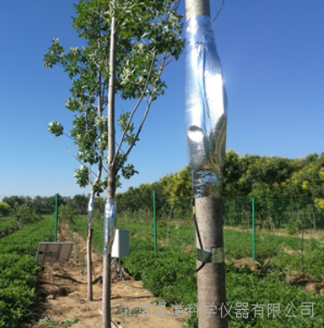 QT-2021插针式植物茎流系统