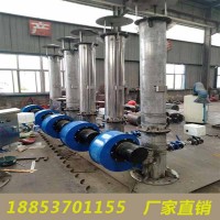 南京废气燃烧沼气火炬工作原理说明及功能