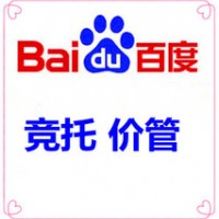 山东专业竞价托管公司，竞价账户托管代运营