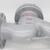 升降式止回阀 H41H-16C止回阀 上海浦蝶品牌