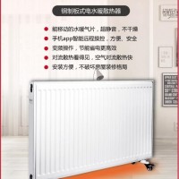 钢制板式智能恒温变频电水暖散热器采暖散热器专业厂商